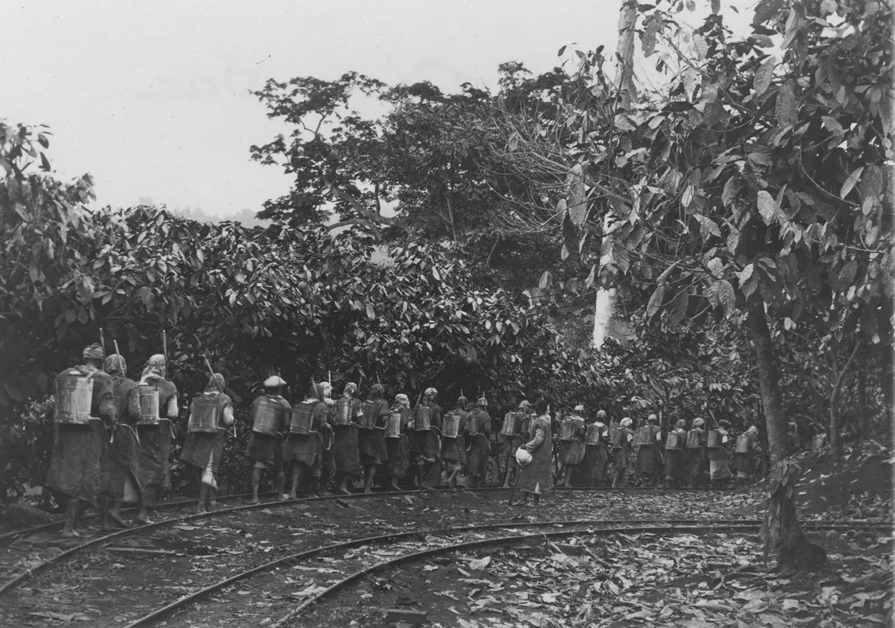 Historic workers at Diogo Vaz Plantation in São Tomé and Príncipe