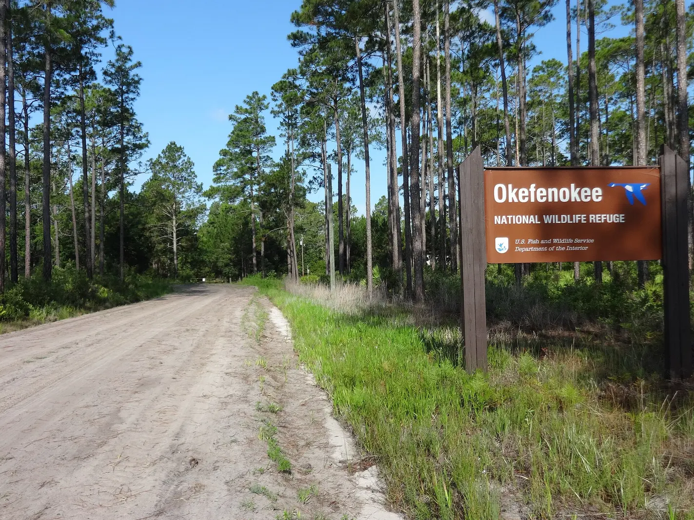 Water and cypress landscape at Kingfisher Landing in Okefenokee National Wildlife Refuge